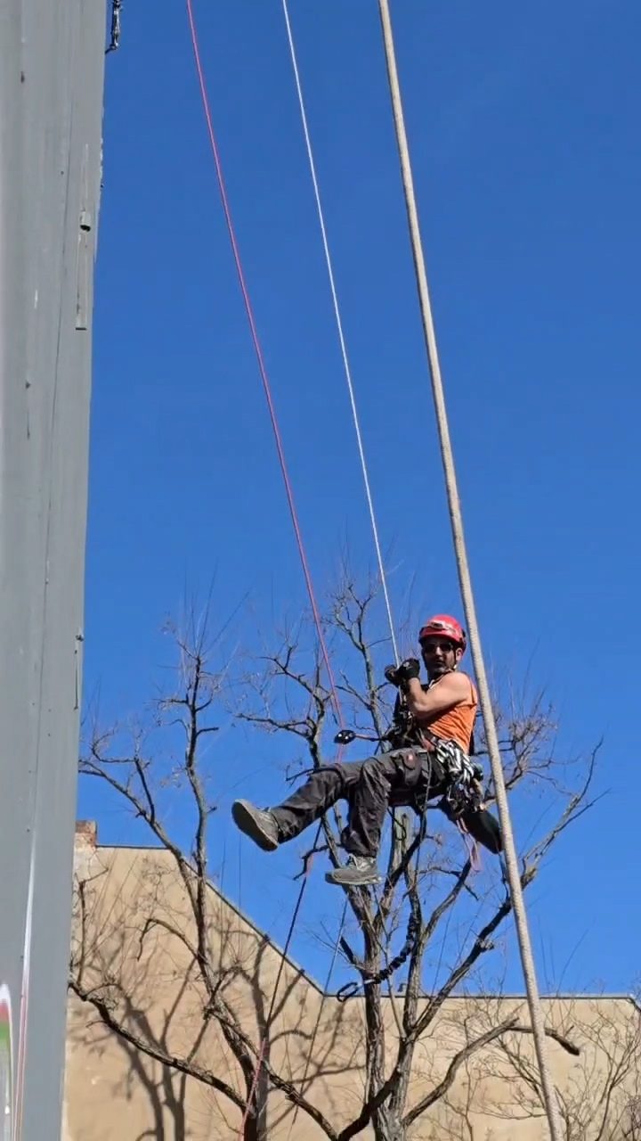 Fassadenarbeiten am Seil